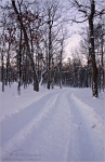 Filename=snowroadsunrise1vpweb.jpg
Filesize=248KB
Dimensions=392x602
Date added=Nov 27, 2007 snowroadsunrise1vpweb.jpg