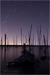 Filename=MRstartrails3vpweb.jpg
Filesize=108KB
Dimensions=402x602
Date added=Jan 17, 2008 MRstartrails3vpweb.jpg