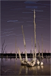 Filename=MRstartrails5vpweb.jpg
Filesize=141KB
Dimensions=402x602
Date added=Jan 17, 2008 MRstartrails5vpweb.jpg