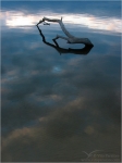 Filename=driftcloudsblended1notreesvpweb.jpg
Filesize=106KB
Dimensions=452x602
Date added=Nov 27, 2007 driftcloudsblended1notreesvpweb.jpg