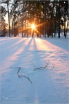 Filename=lightbeamsnow1vpweb.jpg
Filesize=202KB
Dimensions=402x602
Date added=Nov 27, 2007 lightbeamsnow1vpweb.jpg