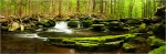 Filename=TTstreampano1vpweb.jpg
Filesize=199KB
Dimensions=727x242
Date added=Nov 27, 2007 TTstreampano1vpweb.jpg